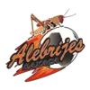 瓦哈卡B队